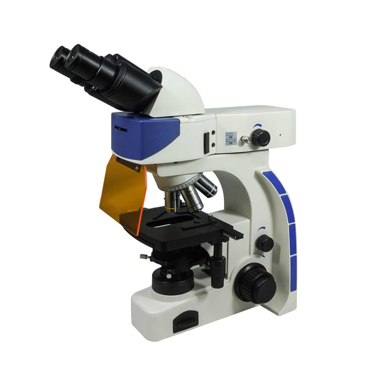 Fluorescence Microscope
